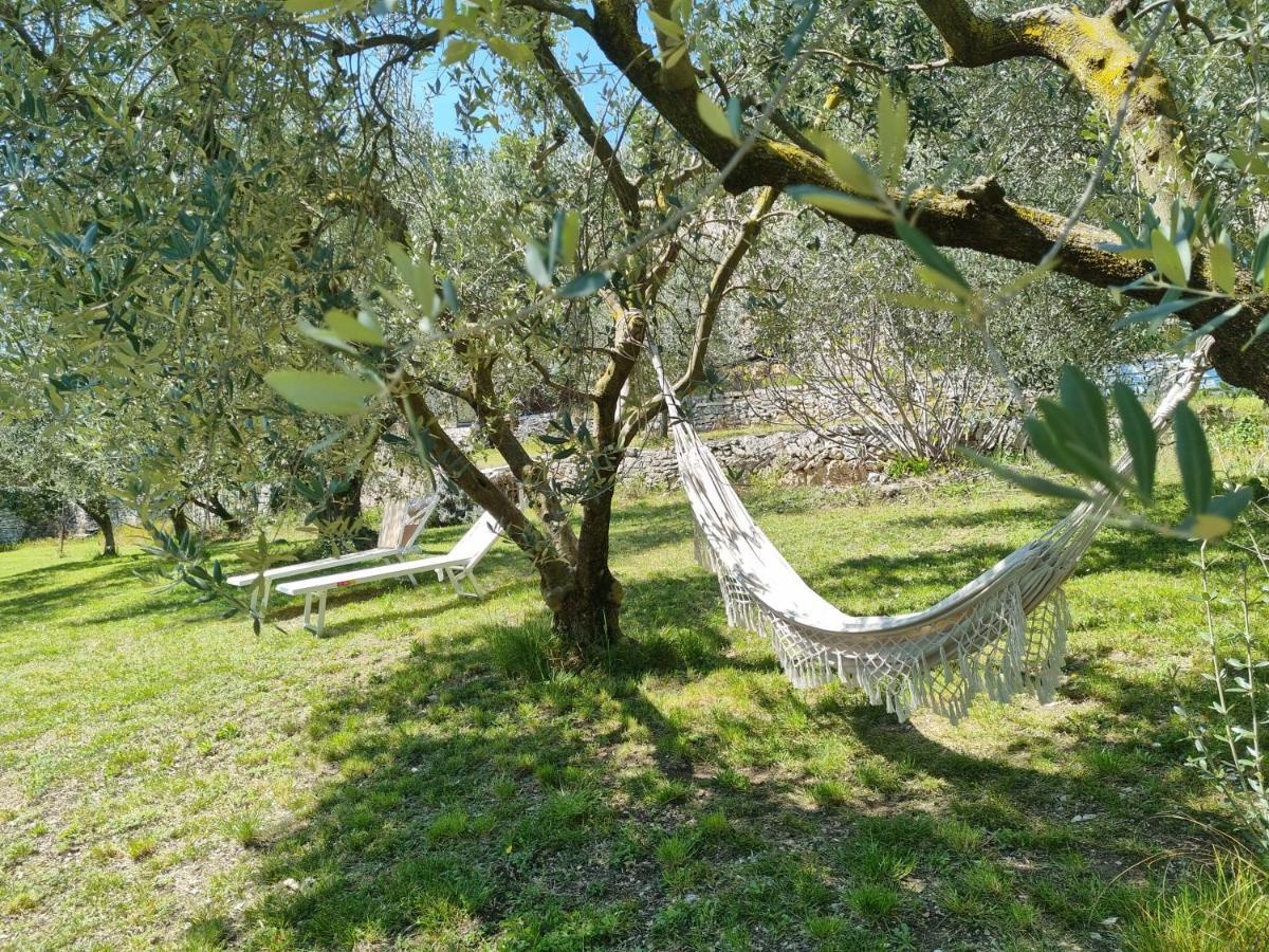 Casa Dal Vecio Carli *