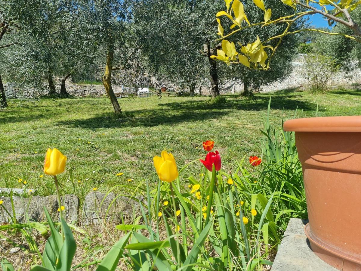 Casa Dal Vecio Carli Holiday home Sant'Ambrogio di Valpolicella