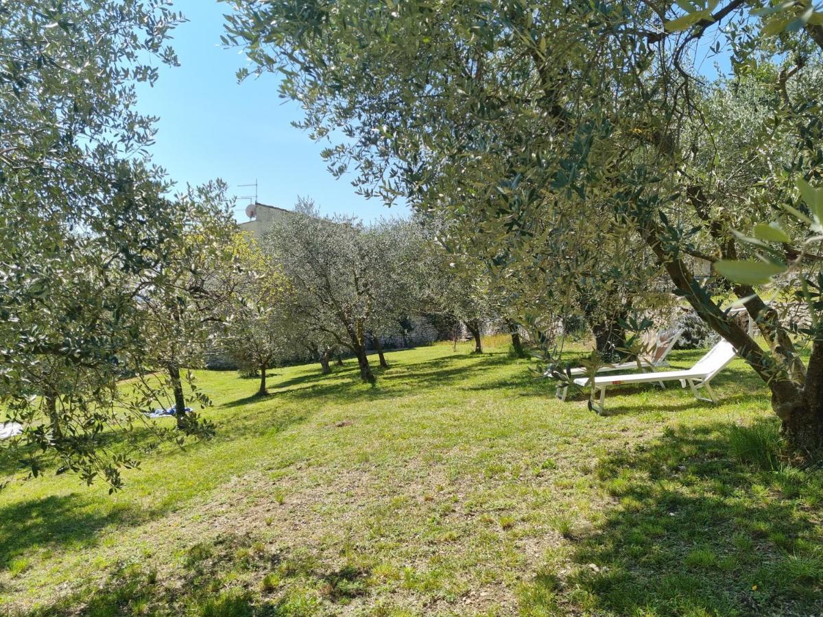 Casa Dal Vecio Carli *