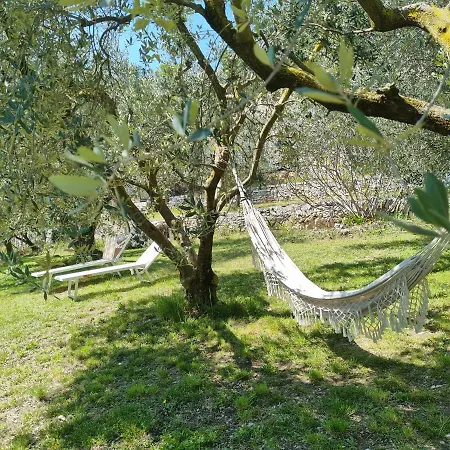 Villa Casa Dal Vecio Carli SantʼAmbrogio di Valpolicella Exterior foto